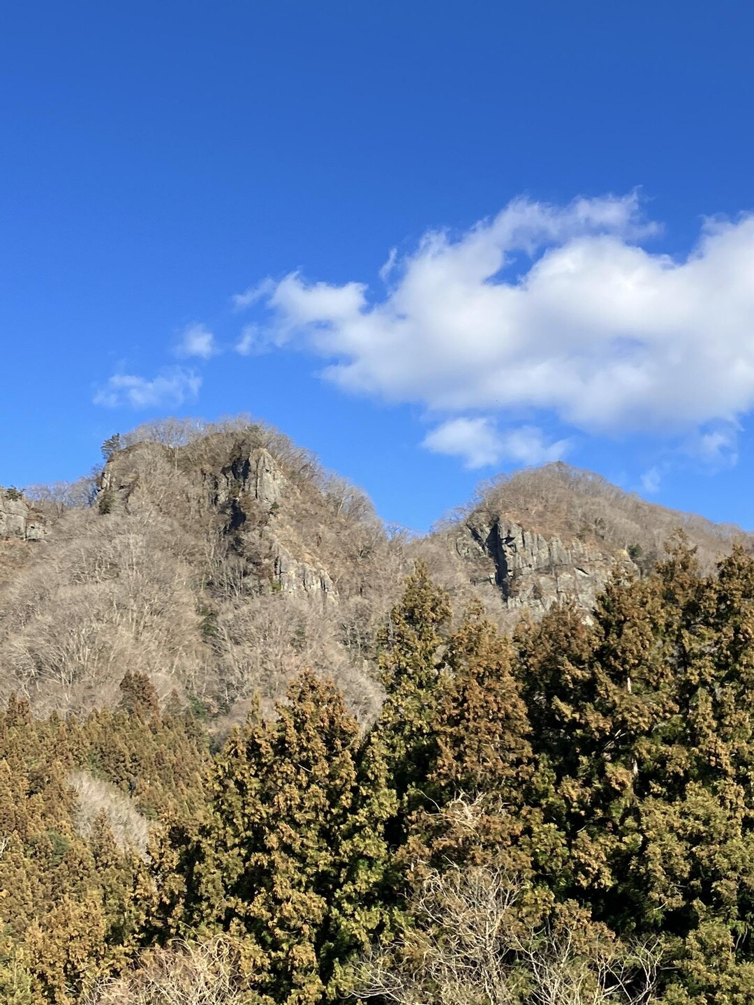 亀ヶ淵山・篭岩(篭岩山)・明山 / マッキーさんの奥久慈男体山・月居山・篭岩（篭岩山）の活動データ | YAMAP / ヤマップ