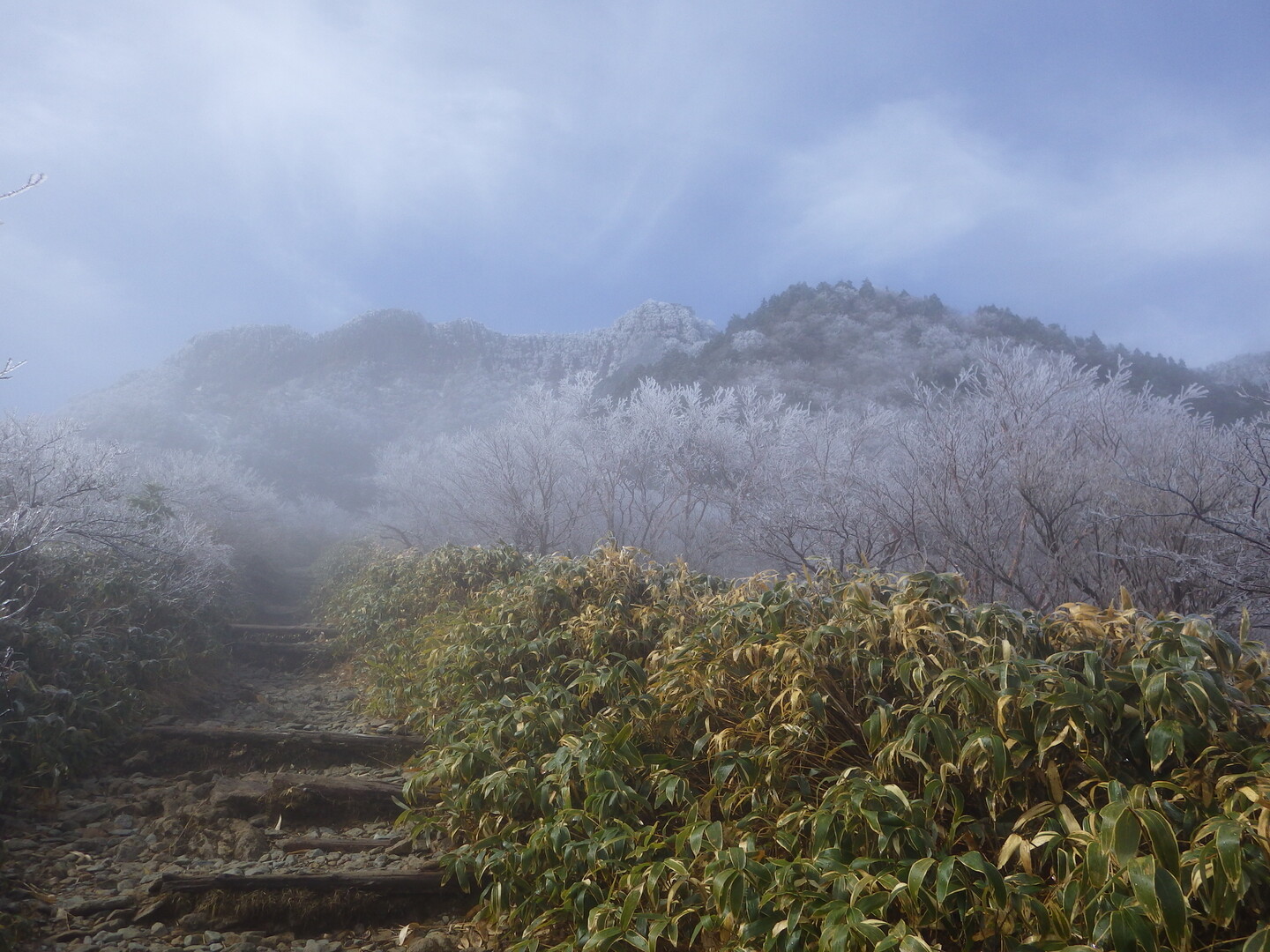 三月の石鎚山その２ 氷のご褒美 石鎚山 堂ヶ森 二ノ森の写真3枚目 高度を上げていくと Yamap ヤマップ