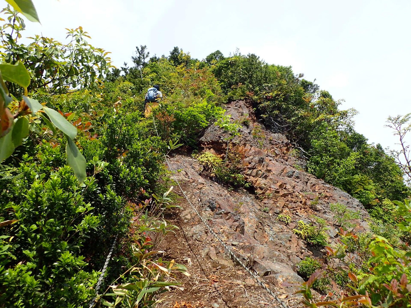 大戸岳（山開き） / あかじい22さんの大戸岳の活動データ YAMAP / ヤマップ