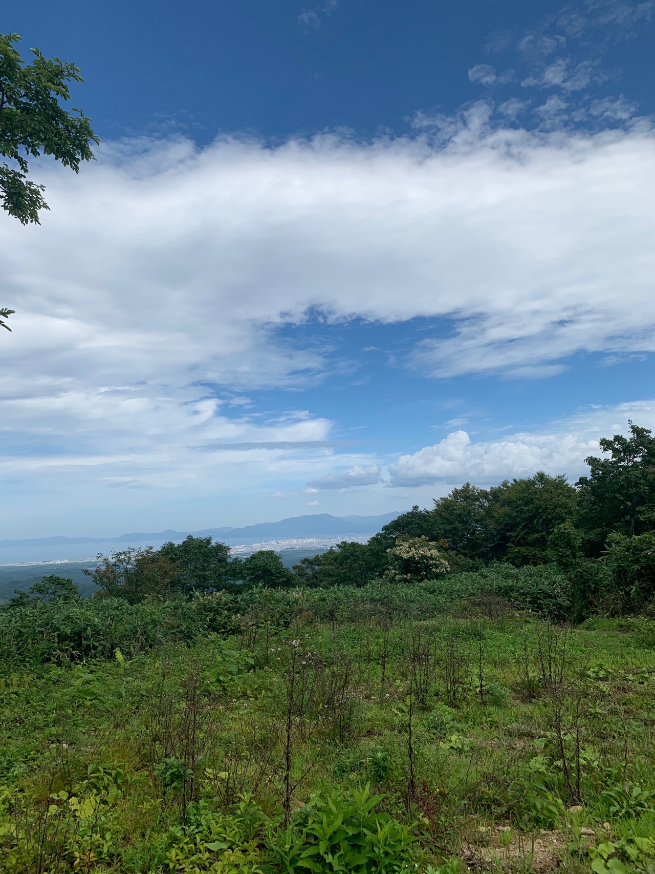 梵珠山 マンガン登山口 サワグルミの道 たまなしライダーさんの梵珠山の活動データ Yamap ヤマップ
