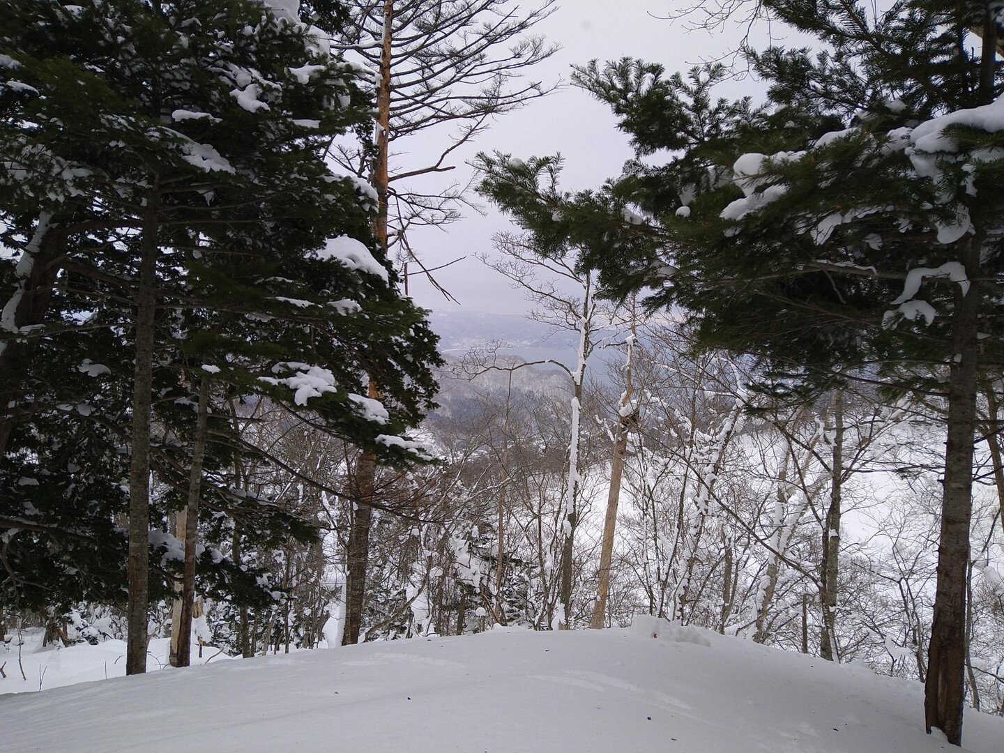 幌扶斯山 / hirohiroさんの礼文華峠の活動データ | YAMAP / ヤマップ