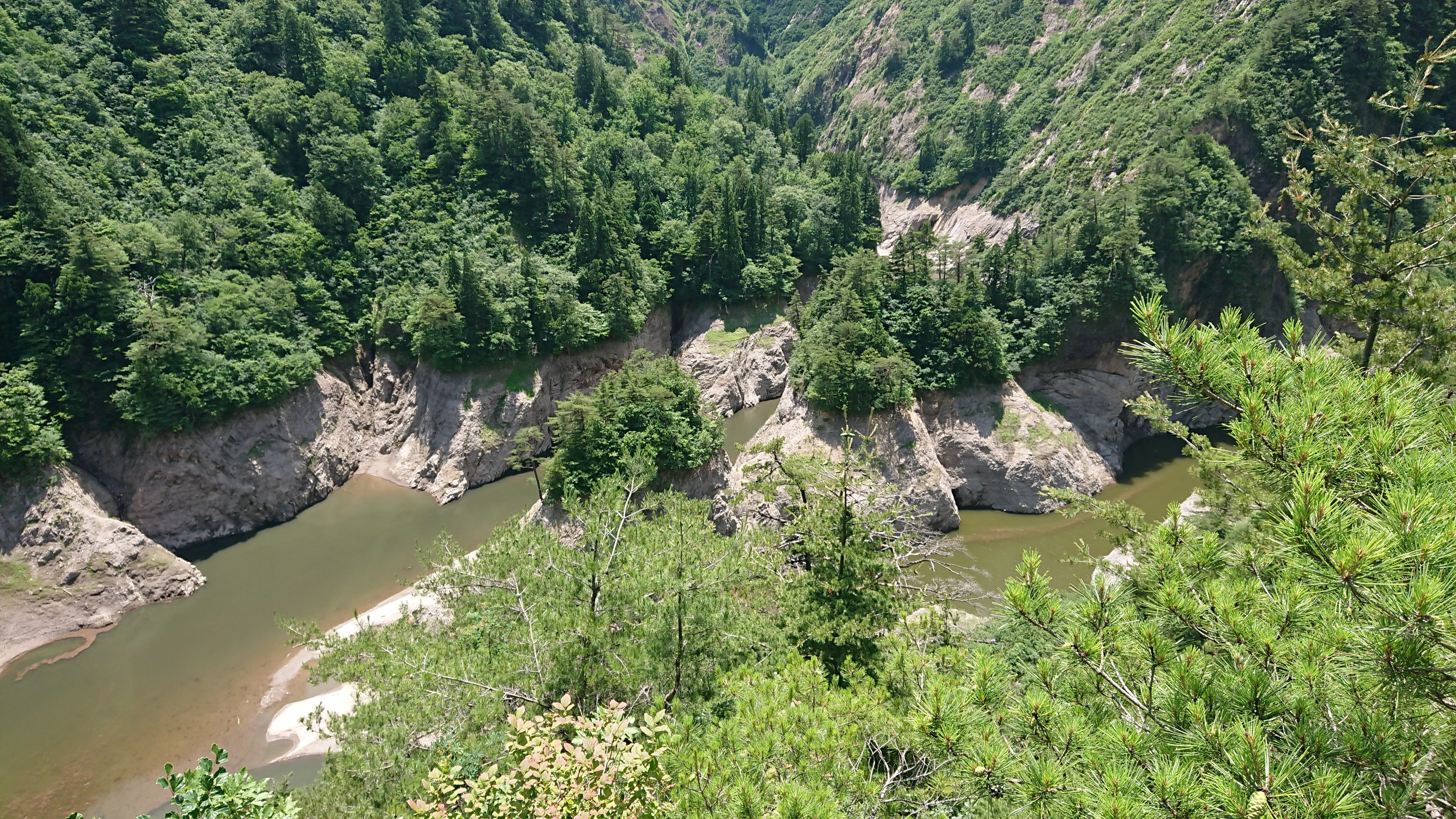 日本平山・鍋倉山 めちゃ少ない