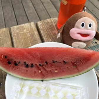 足の疲労もあってゆっくりしか歩けず、堀山の家、駒止茶屋でも少し座って休憩して、見晴らし茶屋でもベンチお借りして座っていたら、お店の方がスイカを下さいました🍉😳
疲れた身体に沁みる〜🥹すごく美味しかったです
食べ始めてすぐに雨が降ってきたので、中に入って食べさせていただきました😋
私の他にも男性3人組の方達がスイカいただいて食べてました
見晴らし茶屋ではスイカはこれで終わりだそうです
食べ終えた頃には雨も止んでました
今度何か食べ(飲み)に立ち寄らせていただかなきゃ〜