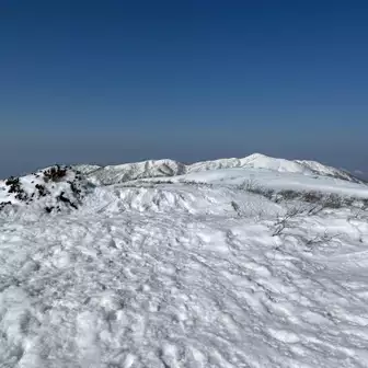 積雪期限定、部子山への稜線

たくさんの方が向かっておられました。

YAMAPにはルートがなく、ソロだし、夕方から練習📯だし…

今日は銀杏峯までのピストンにしておきます