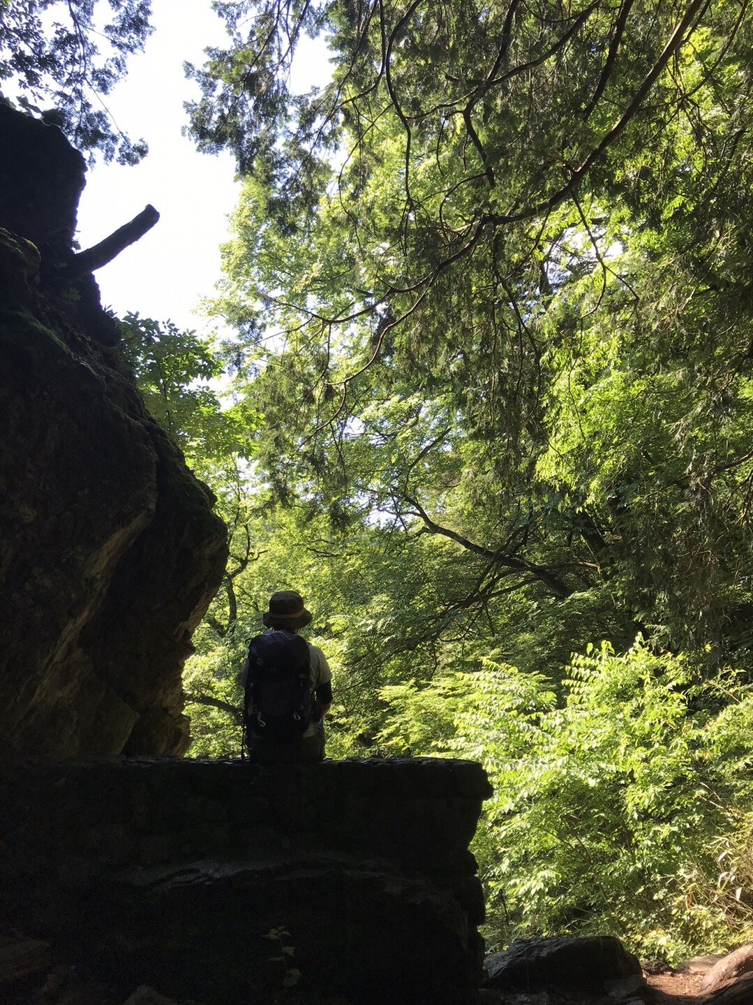 御岳山の奥はロックガーデンという癒し空間だった Kouzohさんの大岳山 御岳山 御前山の活動データ Yamap ヤマップ