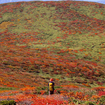 たかまる🤟🏿。