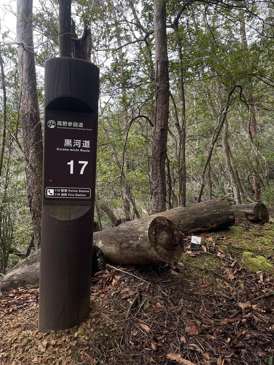 高野参詣道【黒河道】 / みっちゃんさんの高野参詣道（高野山・楊柳山・雨引山）の活動データ YAMAP / ヤマップ