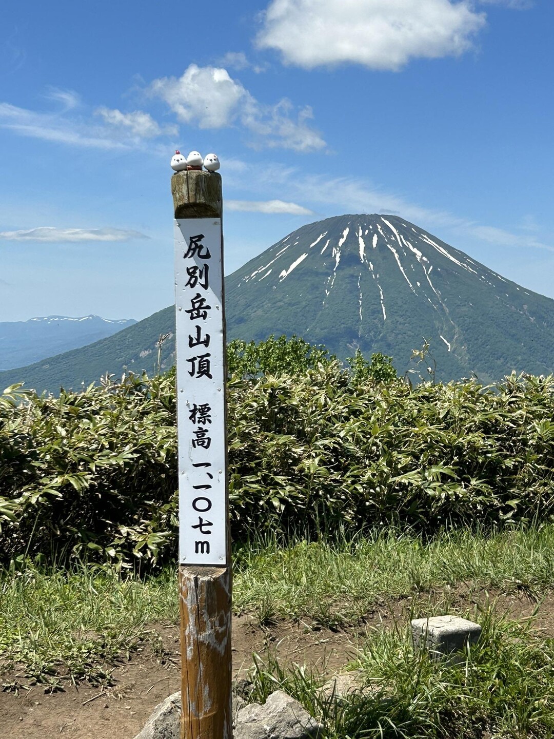 尻別岳 2023.06.20 / こぶネイビーさんの尻別岳の活動データ YAMAP / ヤマップ