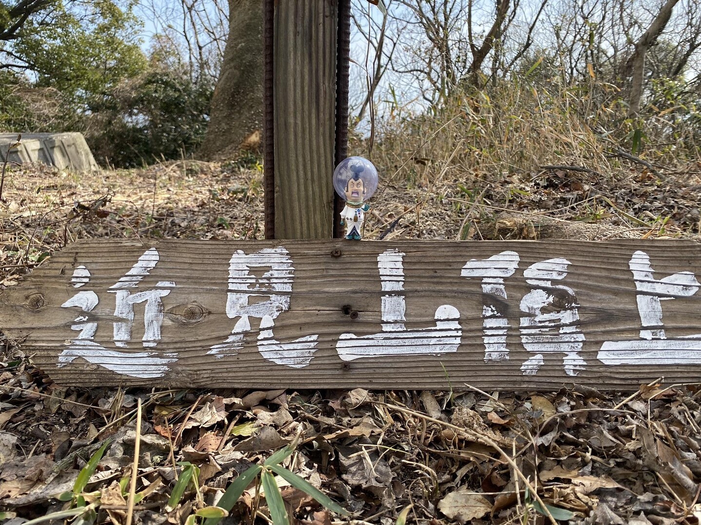 近見山 / かっちゃんさんの今治市 東エリアの活動データ YAMAP / ヤマップ