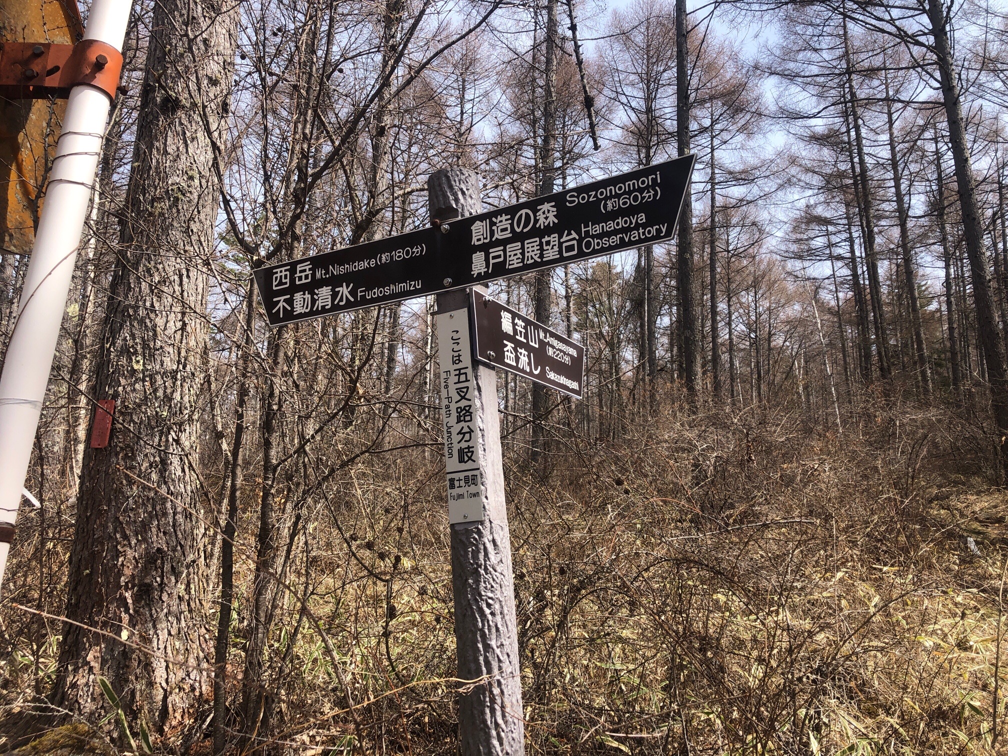 はい、標識通り。ありがたい、案内標識、