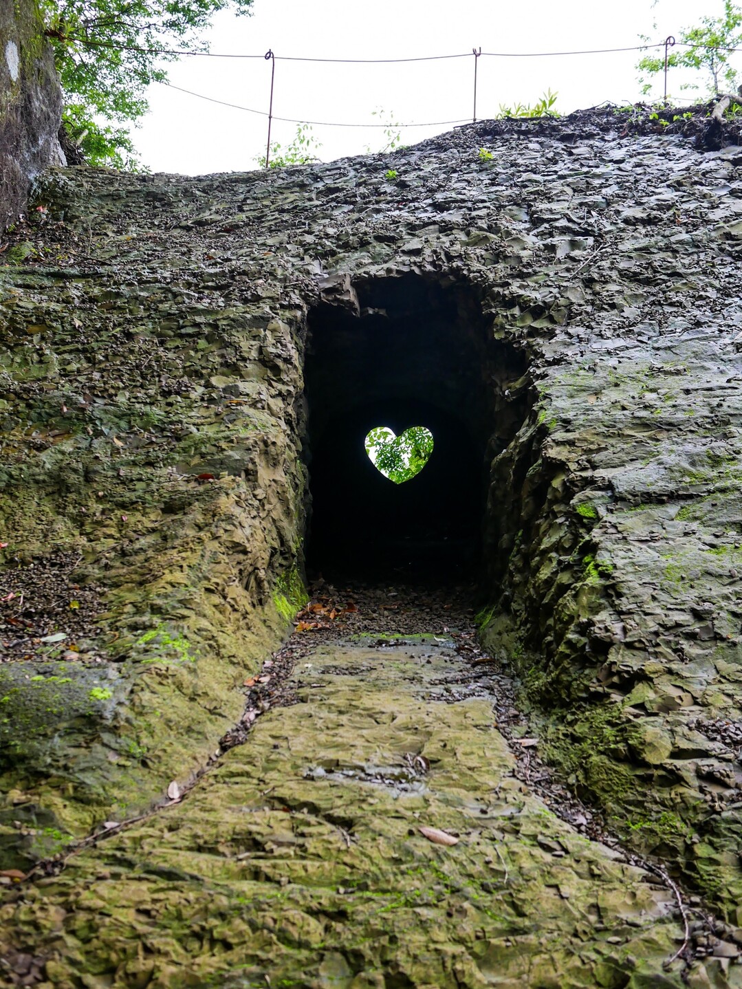 緑滴る車力道に先人の苦労を偲ぶ 鋸山の写真18枚目 猫丁場 何気に初めて来ました ここ Yamap ヤマップ