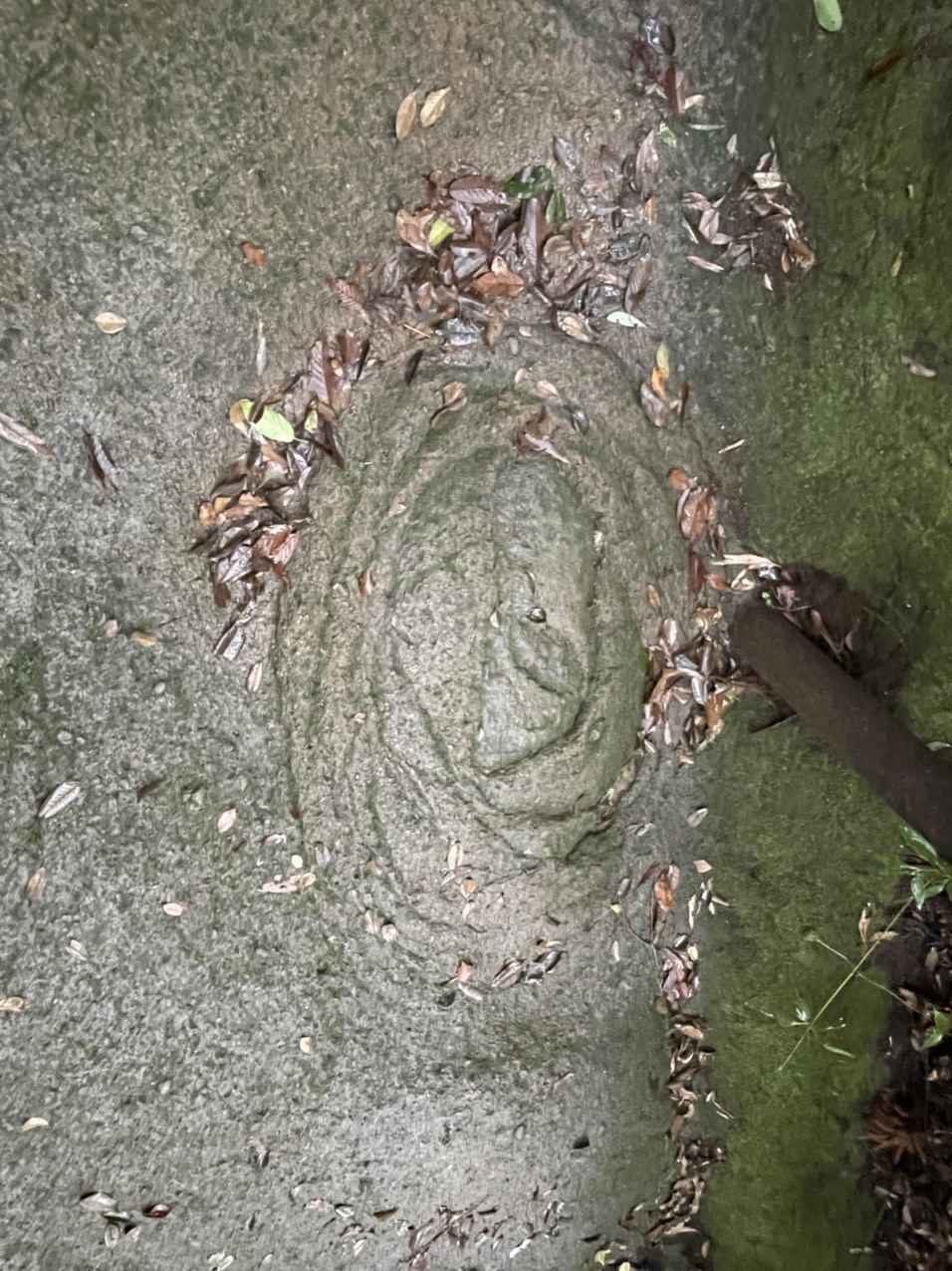 これはどういう現象なのでしょう？