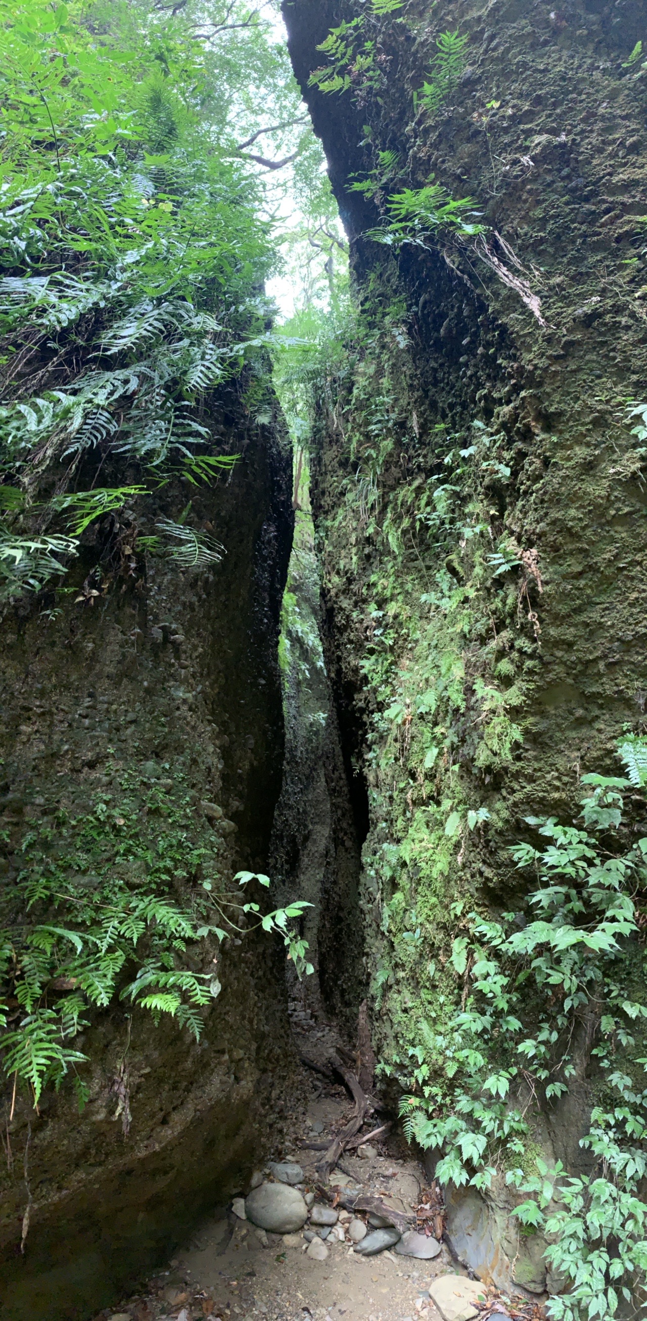 小笠山 六枚屏風 02 15 まちゃみさんの小笠山の活動データ Yamap ヤマップ