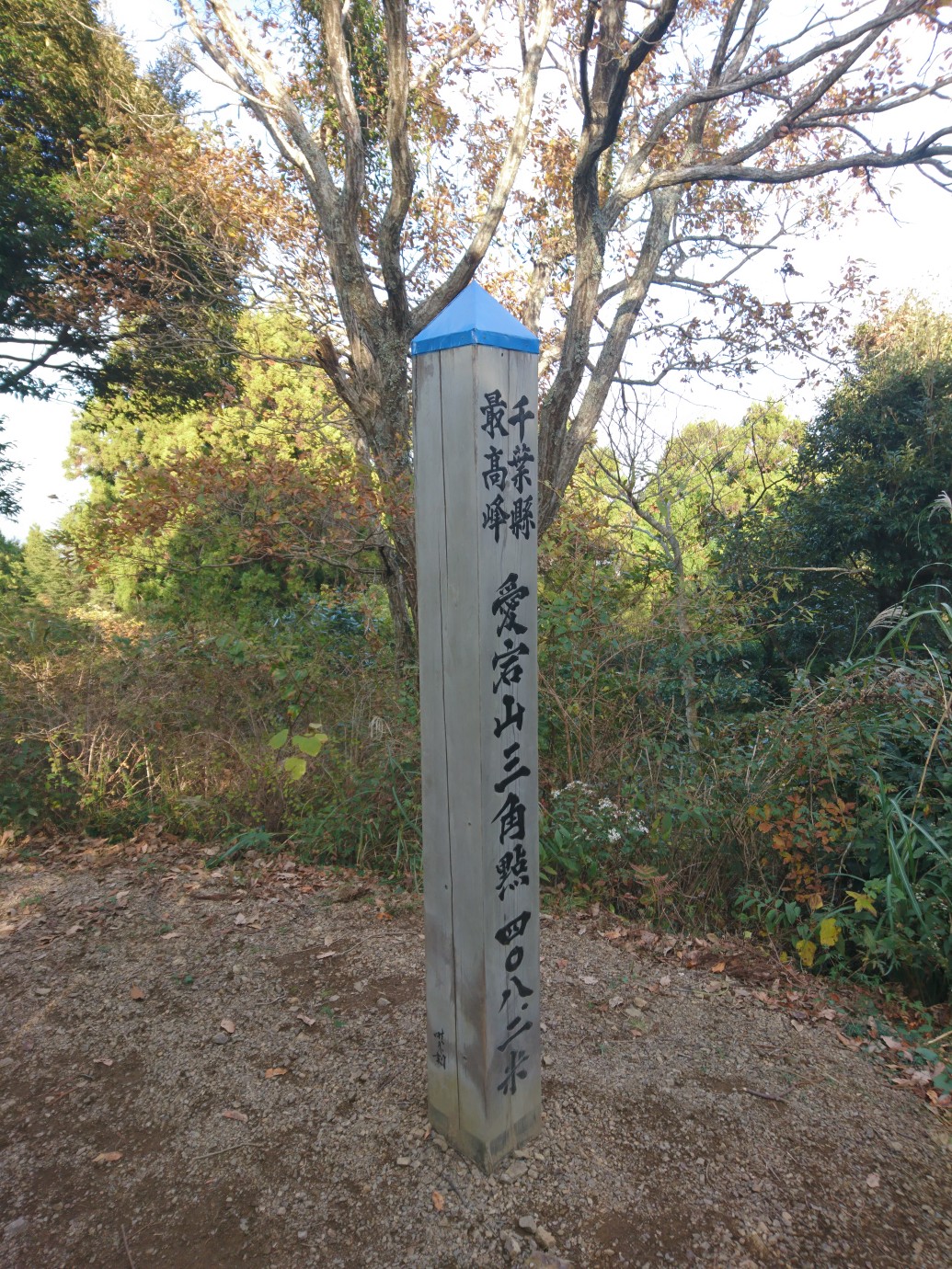 愛宕山 アクセス 営業時間 料金情報 じゃらんnet