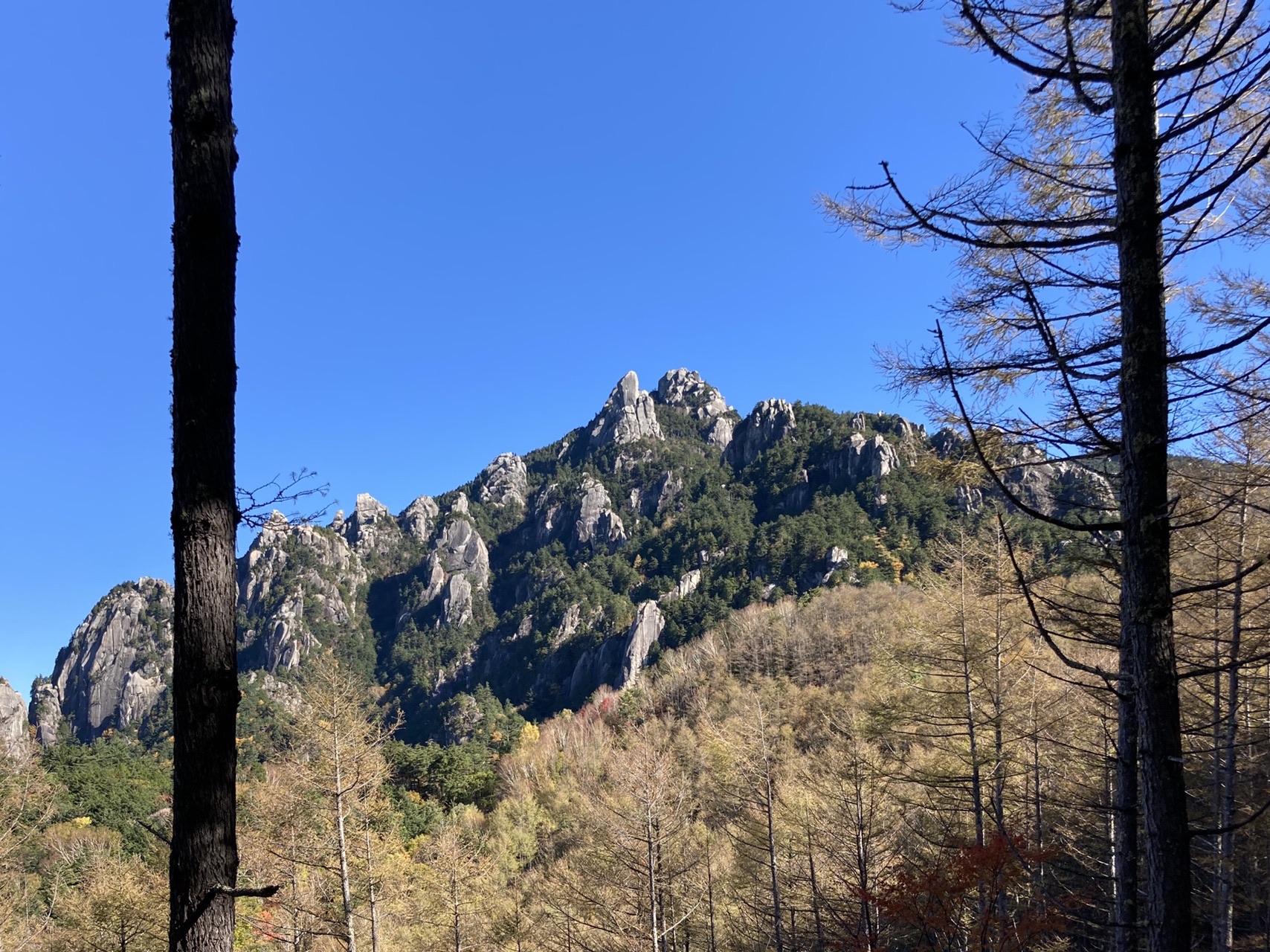 晴天の瑞牆山へ紅葉登山 しかおさんの瑞牆山 金峰山の活動データ Yamap ヤマップ
