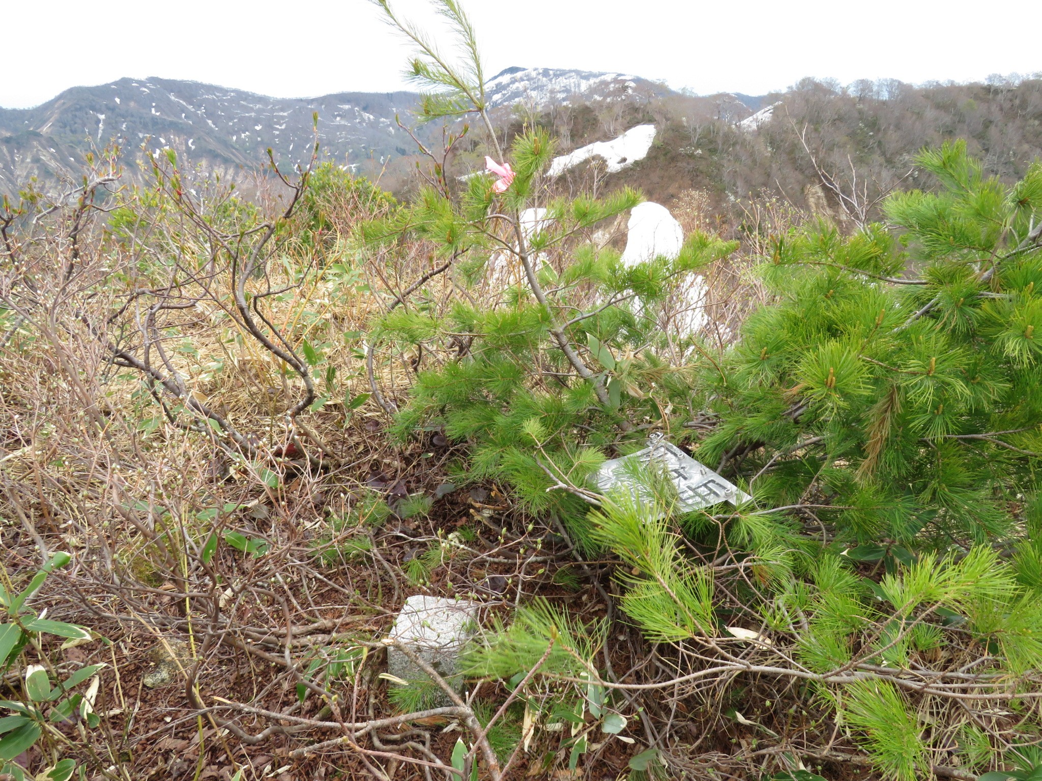 木六山・銀次郎山 灰ヶ岳山頂