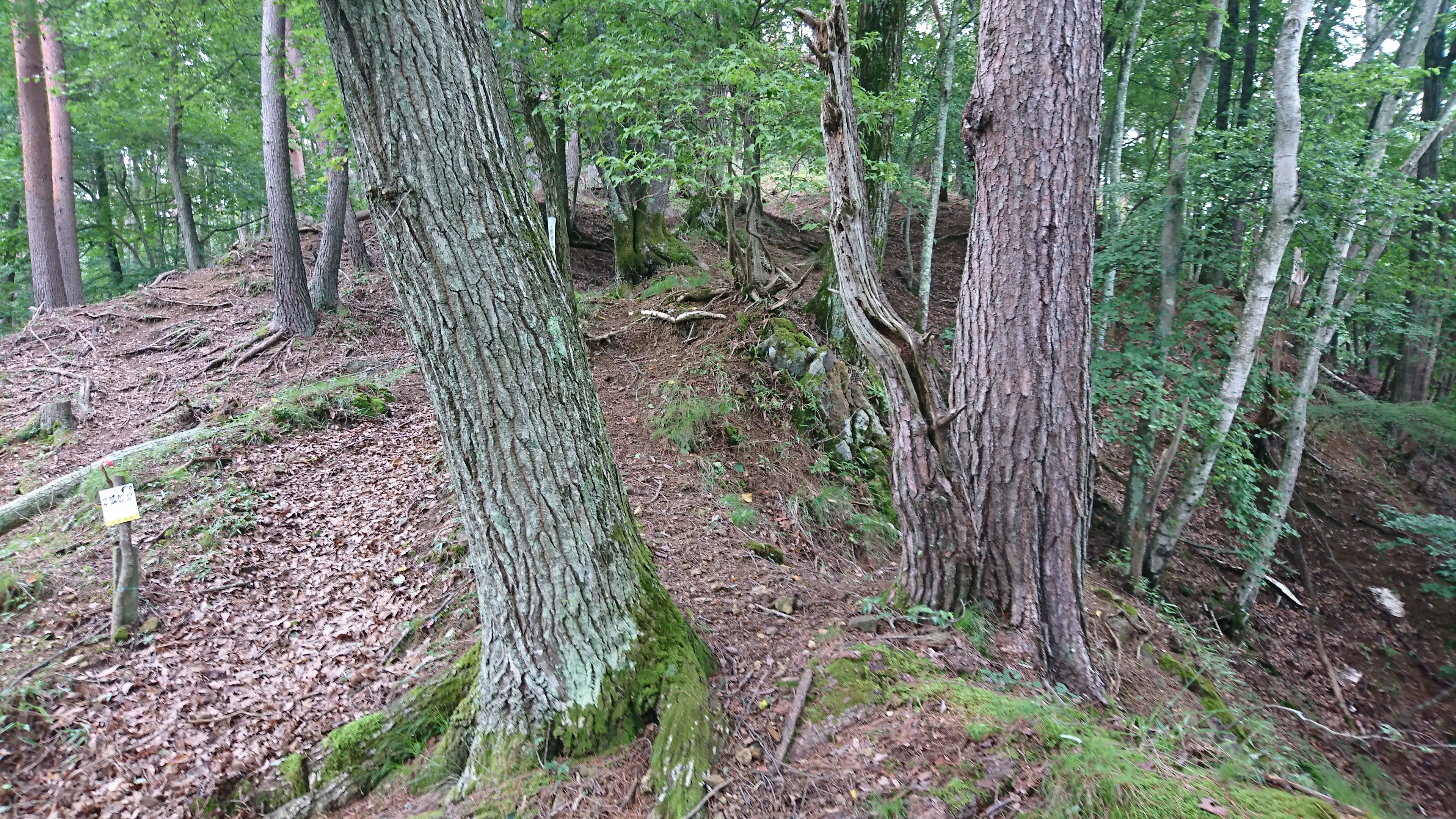 中央構造線の北端 諏訪大社 謎の領域 西山峠の探検 はらこばさんの甲州街道 金沢宿 下諏訪宿 の活動日記 Yamap ヤマップ