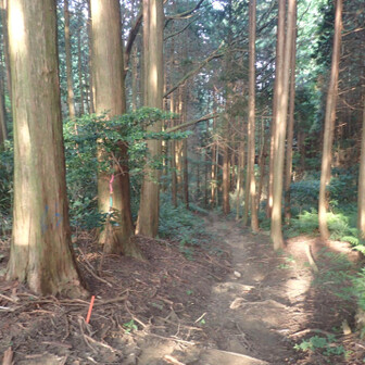平石方面へのくだり道。