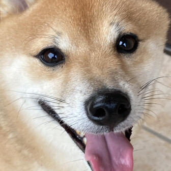 あき