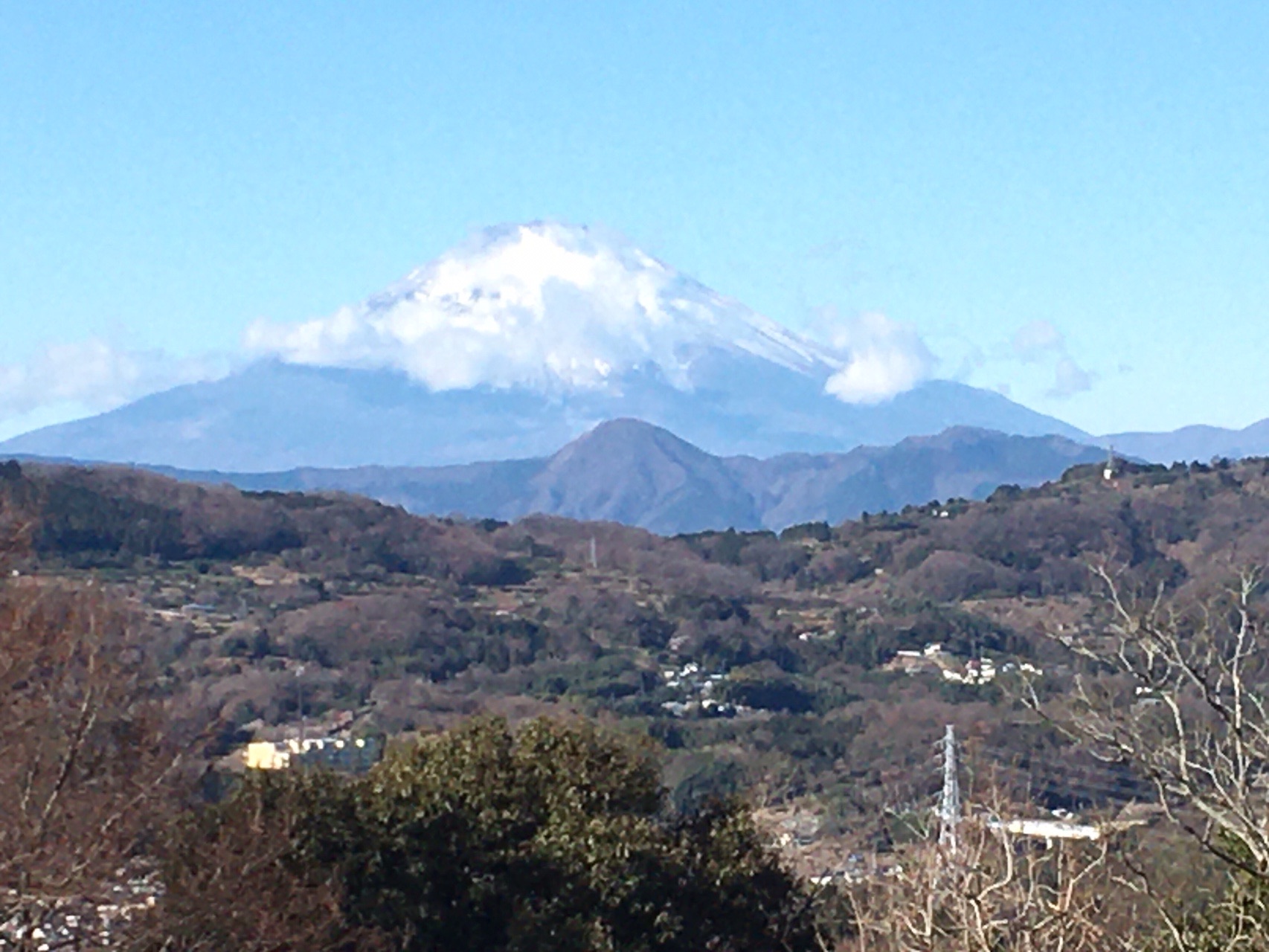 吾妻山 二宮町 吾妻山公園 富士山と菜の花 とくさんの高麗山 湘南平 鷹取山の活動データ Yamap ヤマップ