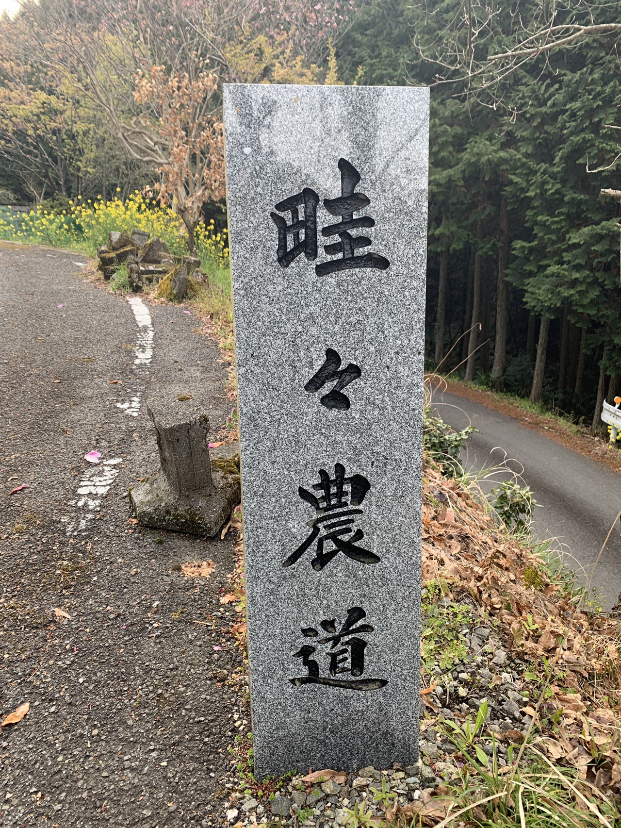 四国遍路3巡目 27日目はひたすら上った久万高原への道 後編 しかっちさんの四国遍路その14の活動日記 Yamap ヤマップ