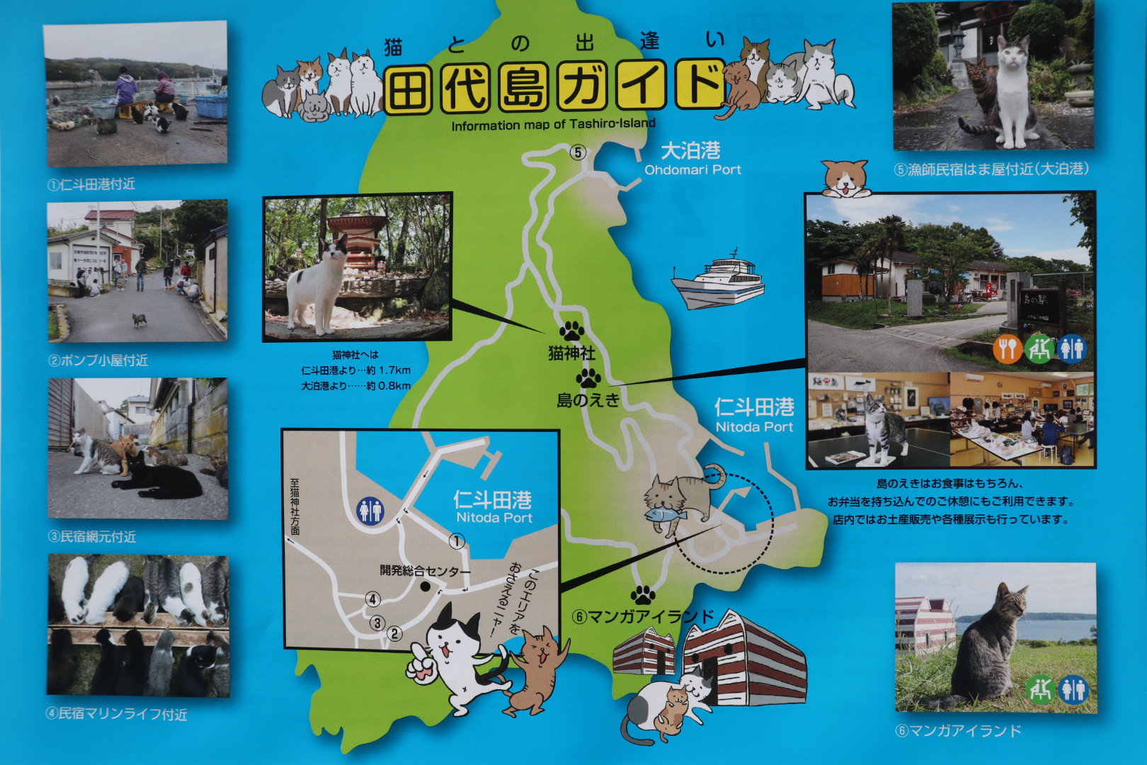 02ねこ猫ネコの田代島 穐さんの石巻市の活動日記 Yamap ヤマップ