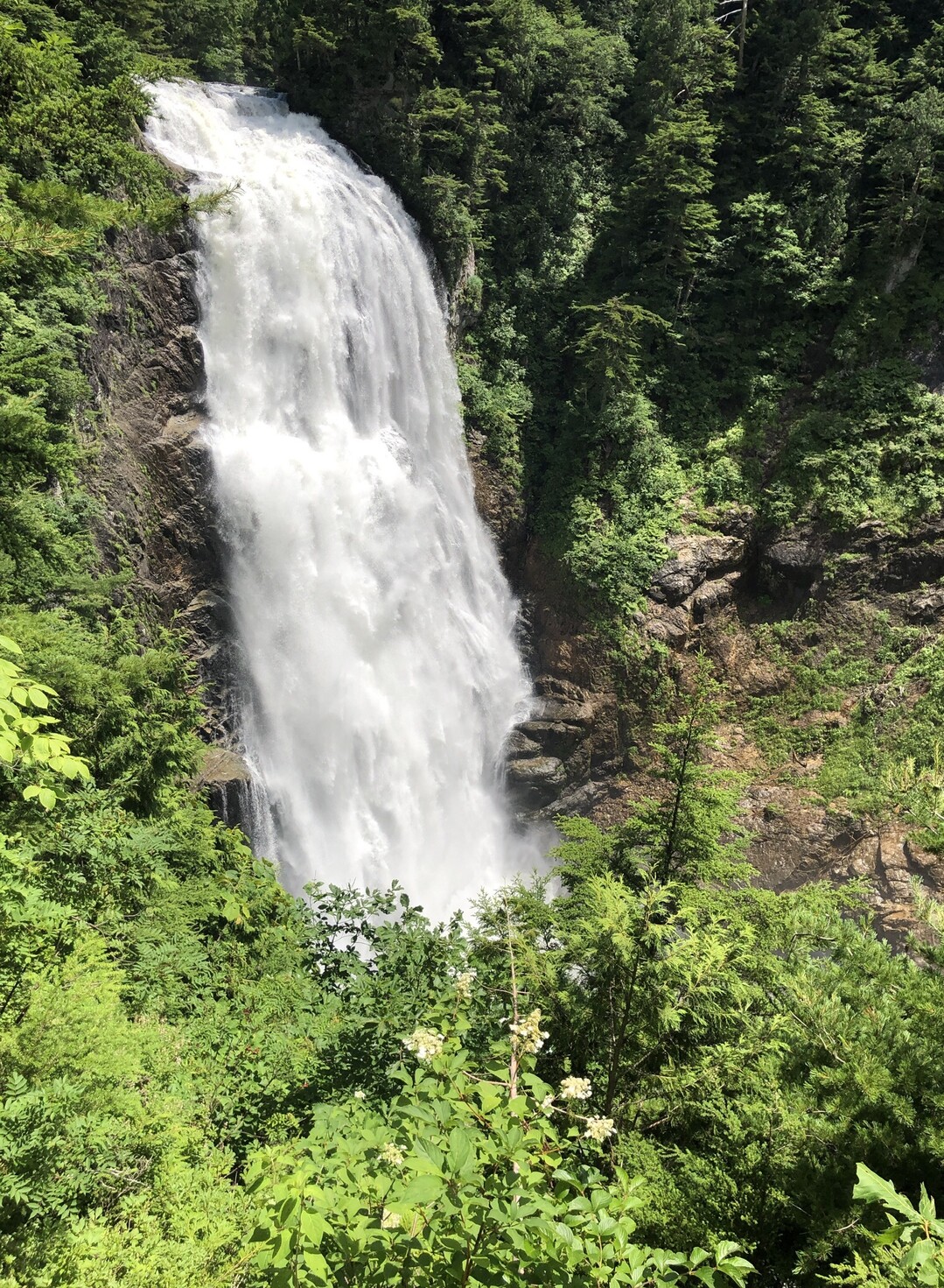 念願の三条の滝。何回行っても飽きない尾瀬... / サニーサニーさんのモーメント YAMAP / ヤマップ