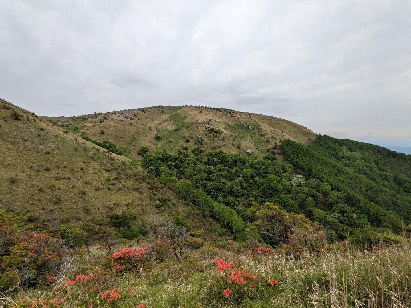 鉢伏山・前鉢伏山・宮入山 / いっささんの鉢伏山・高ボッチ山・三峰山の活動データ YAMAP / ヤマップ