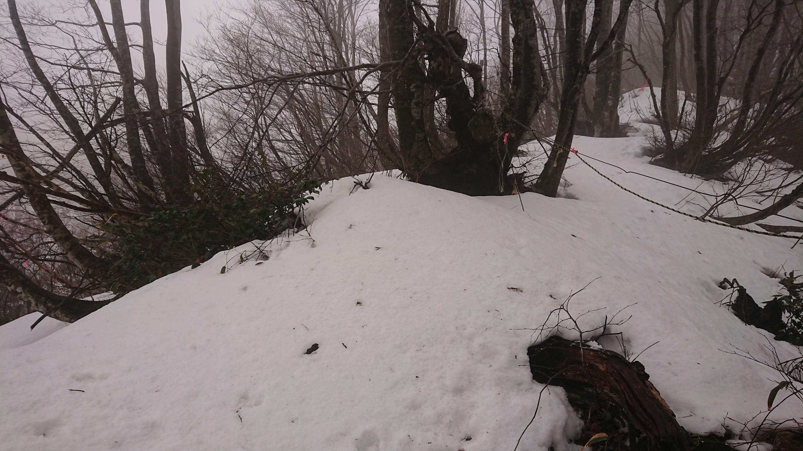 木六山・銀次郎山 木六山巻き道南分岐