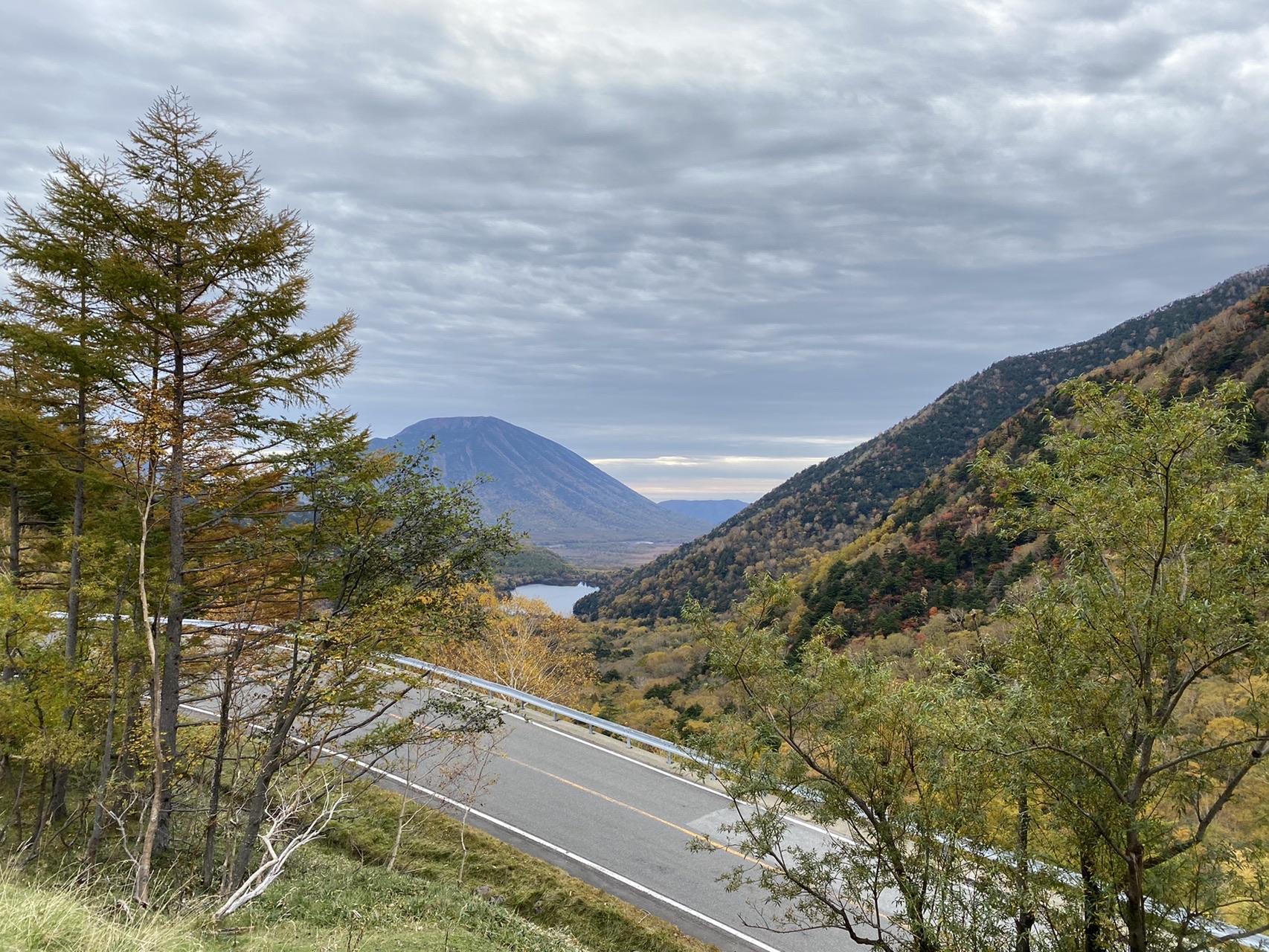 季節違い 温泉ヶ岳と根名草山 へなちょこなハイカーてつさんの温泉ヶ岳 根名草山の活動日記 Yamap ヤマップ