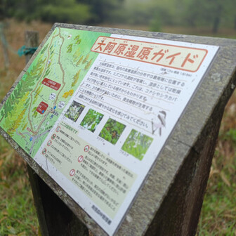 大阿原湿原のガイド
湿原としては乾燥度の高い老年時代
とのこと
