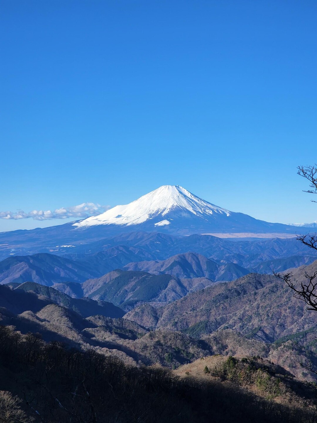 堀山・塔ノ岳・日高・竜ヶ馬場・丹沢山・不動ノ峰・棚沢ノ頭・鬼ヶ岩ノ頭・蛭ヶ岳 / けんたさんの塔ノ岳・丹沢山・蛭ヶ岳の活動データ