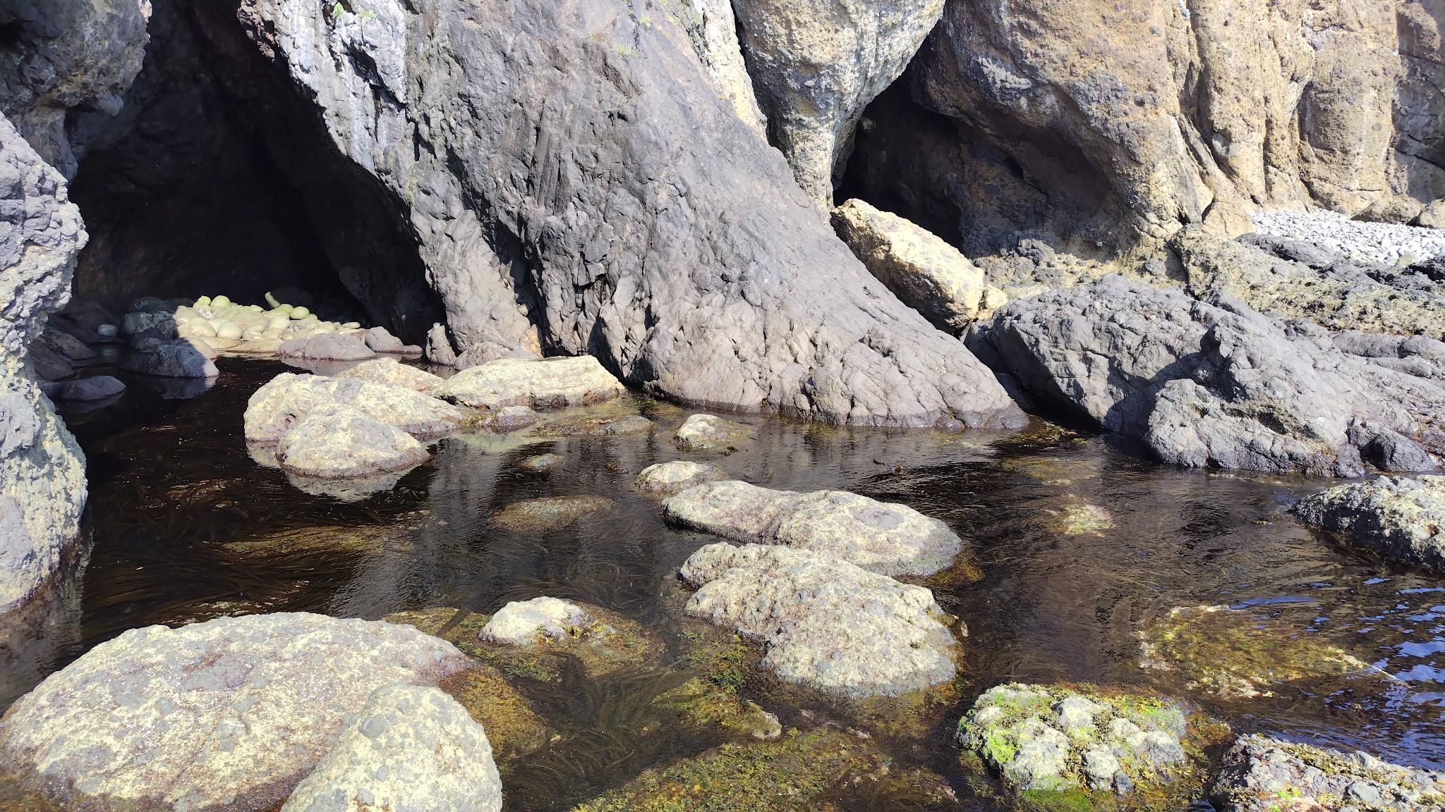 トッカリ瀬の最後に海面から露出した岩を３～４つほど飛び移ります。
写真のように岩が露出していれば問題ないですが、この岩が海面下になると、かなり危険な状況になるとのことです。
何年か前に大学生が流されたのも、ここではないかと思われます。