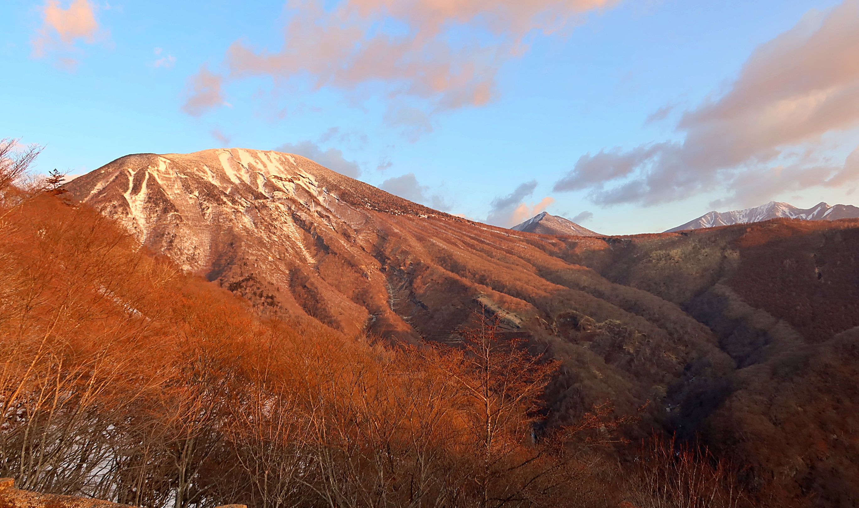 油彩 日光戦場ヶ原の貴婦人 人気ブランド 油彩 日光戦場ヶ原の貴婦人