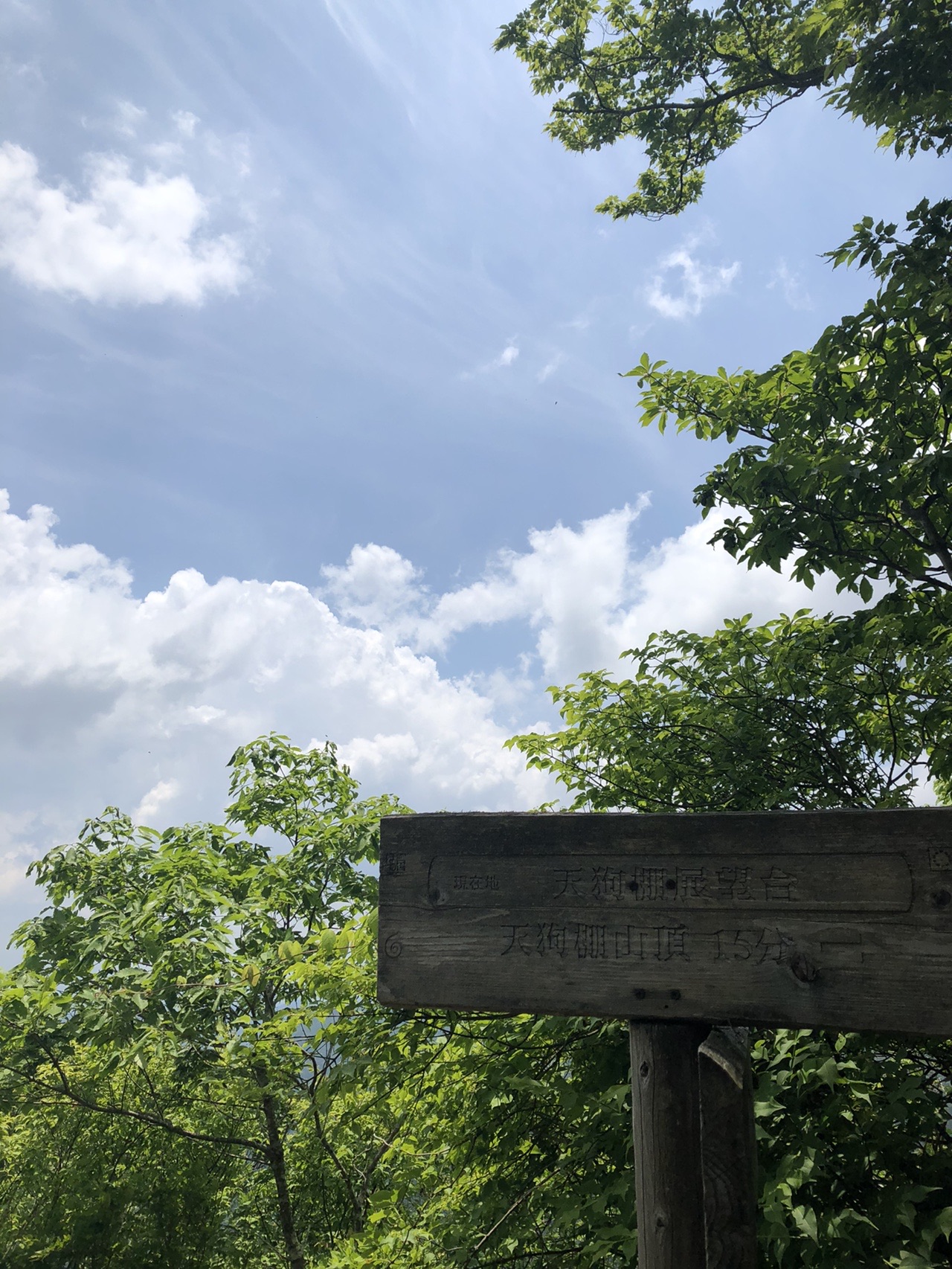 天狗棚・1200高地 / ビッグブルさんの天狗棚・1200高地（天狗ノ奥山）・碁盤石山の活動データ YAMAP / ヤマップ