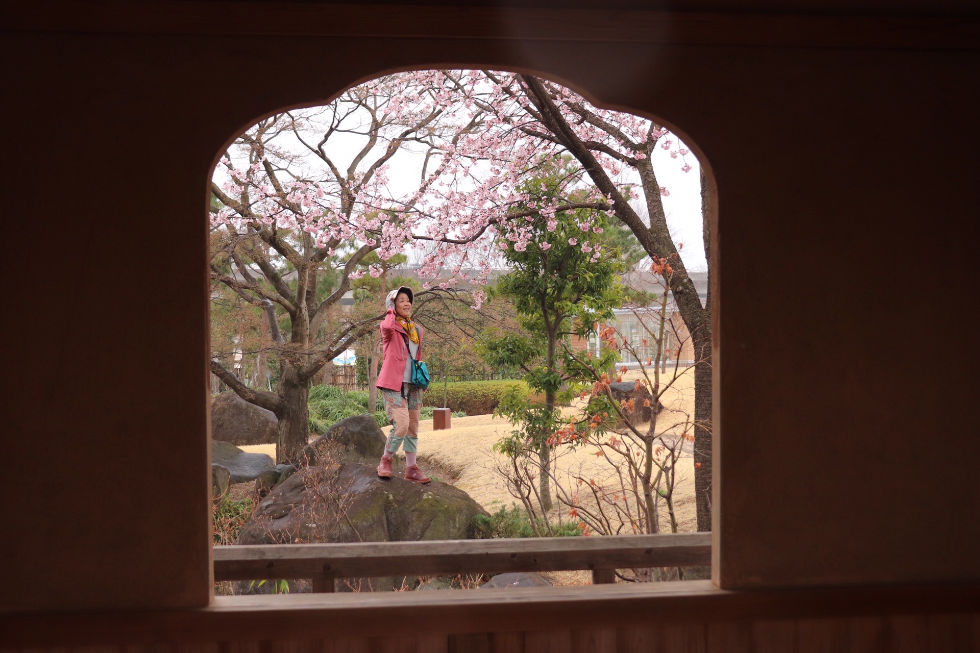 雨の日の花散歩 楽歩堂前橋公園 ヤマナカさんの前橋市の活動データ Yamap ヤマップ