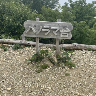 本日、4つ目のピーク
パノラマ台に到着。