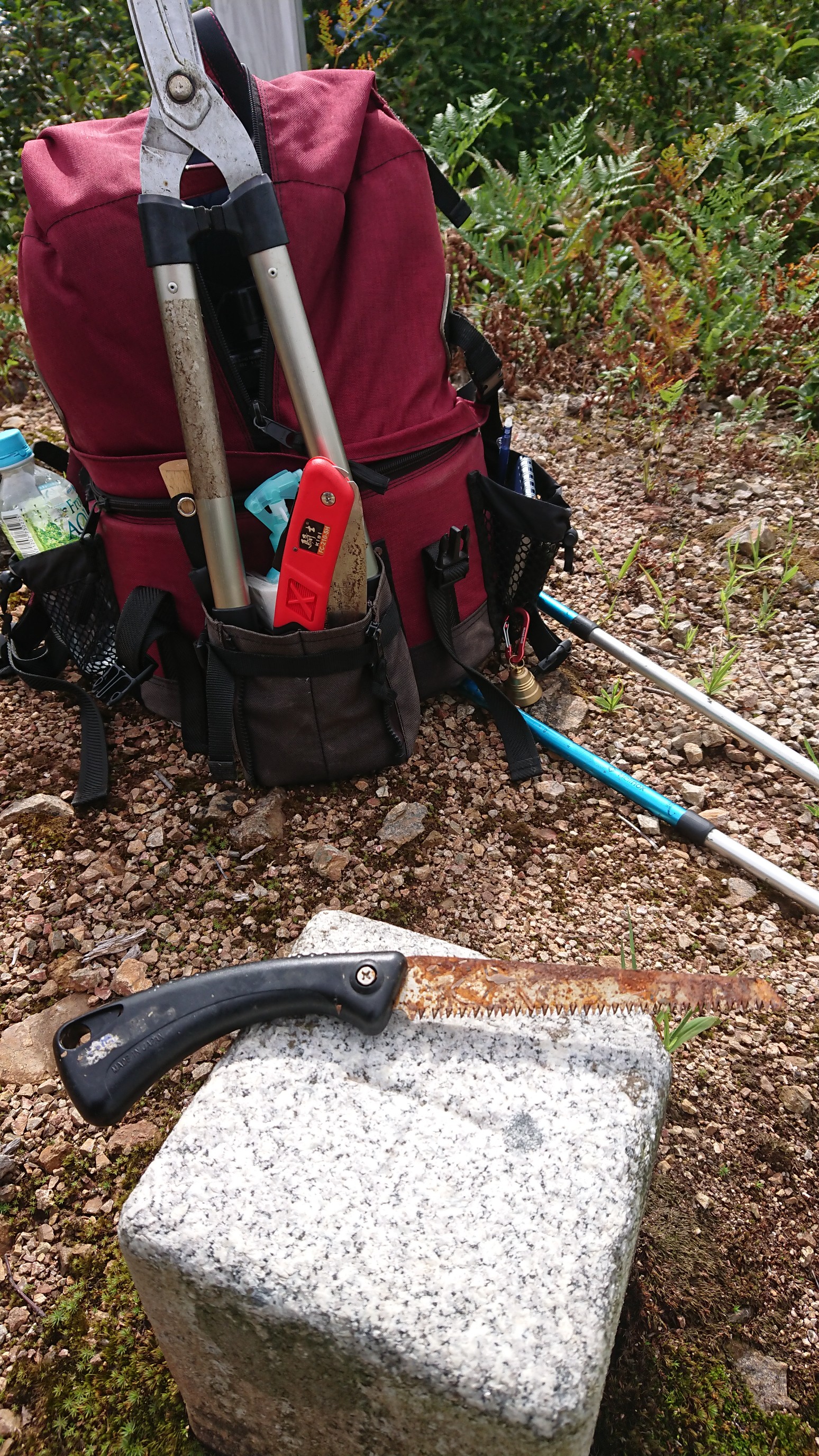 木六山・銀次郎山 以前失くしたノコギリ発見