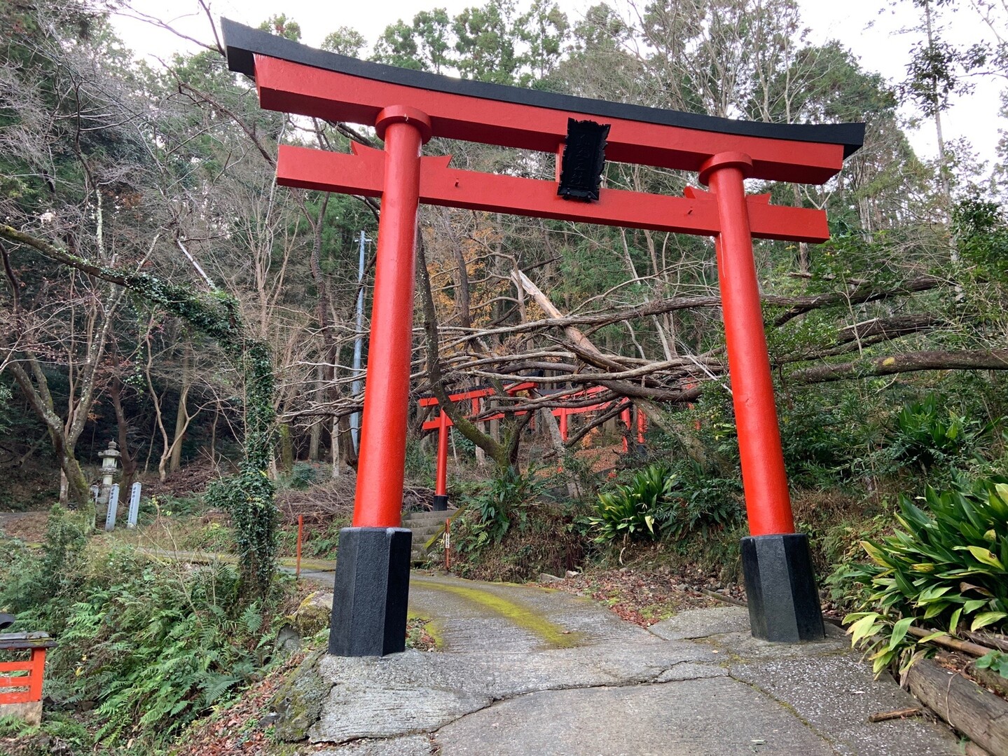 高天ヶ原山 / takeさんの南国市の活動データ YAMAP / ヤマップ