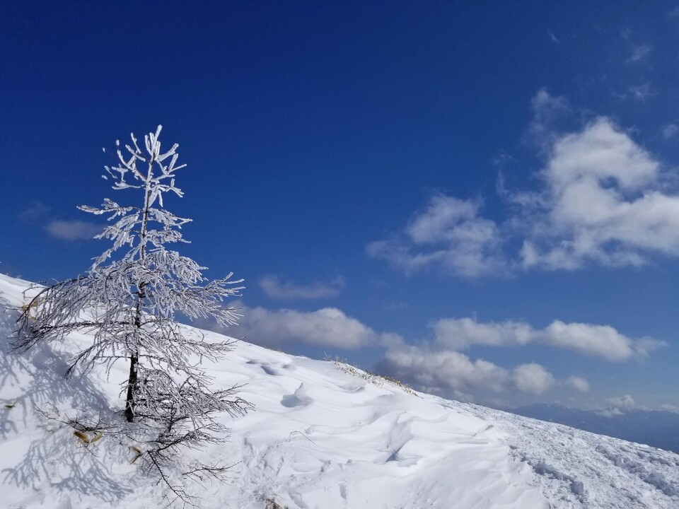 車山高原スキー場 山頂往復リフト券 霧ヶ峰車山雪山ハイク - 施設利用券