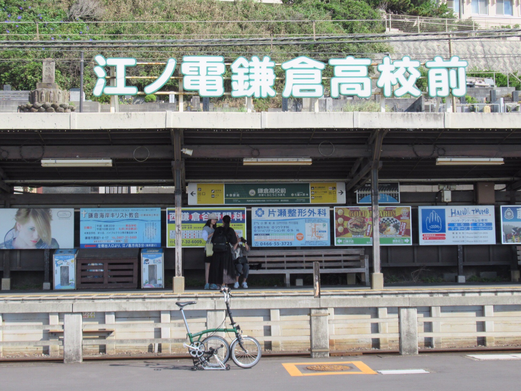 鎌倉35】秋の花紀行🚴u200d / ryuyuさんの鎌倉市の活動日記  YAMAP / ヤマップ