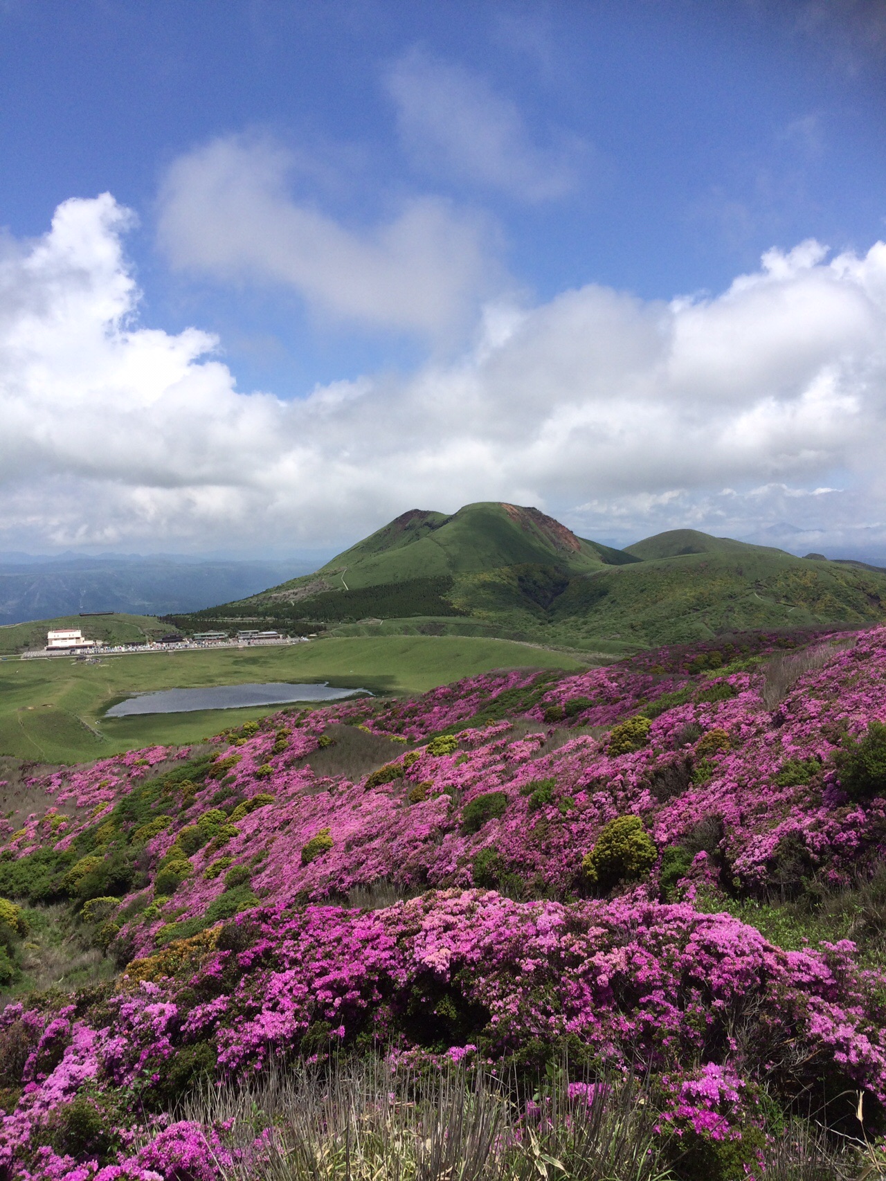 阿蘇烏帽子岳 ミヤマキリシマ Toshiさんの阿蘇山 高岳 根子岳の活動データ Yamap ヤマップ