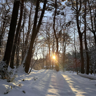 四阿山・根子岳 朝日が木の間から出てきて気持ちが高まります