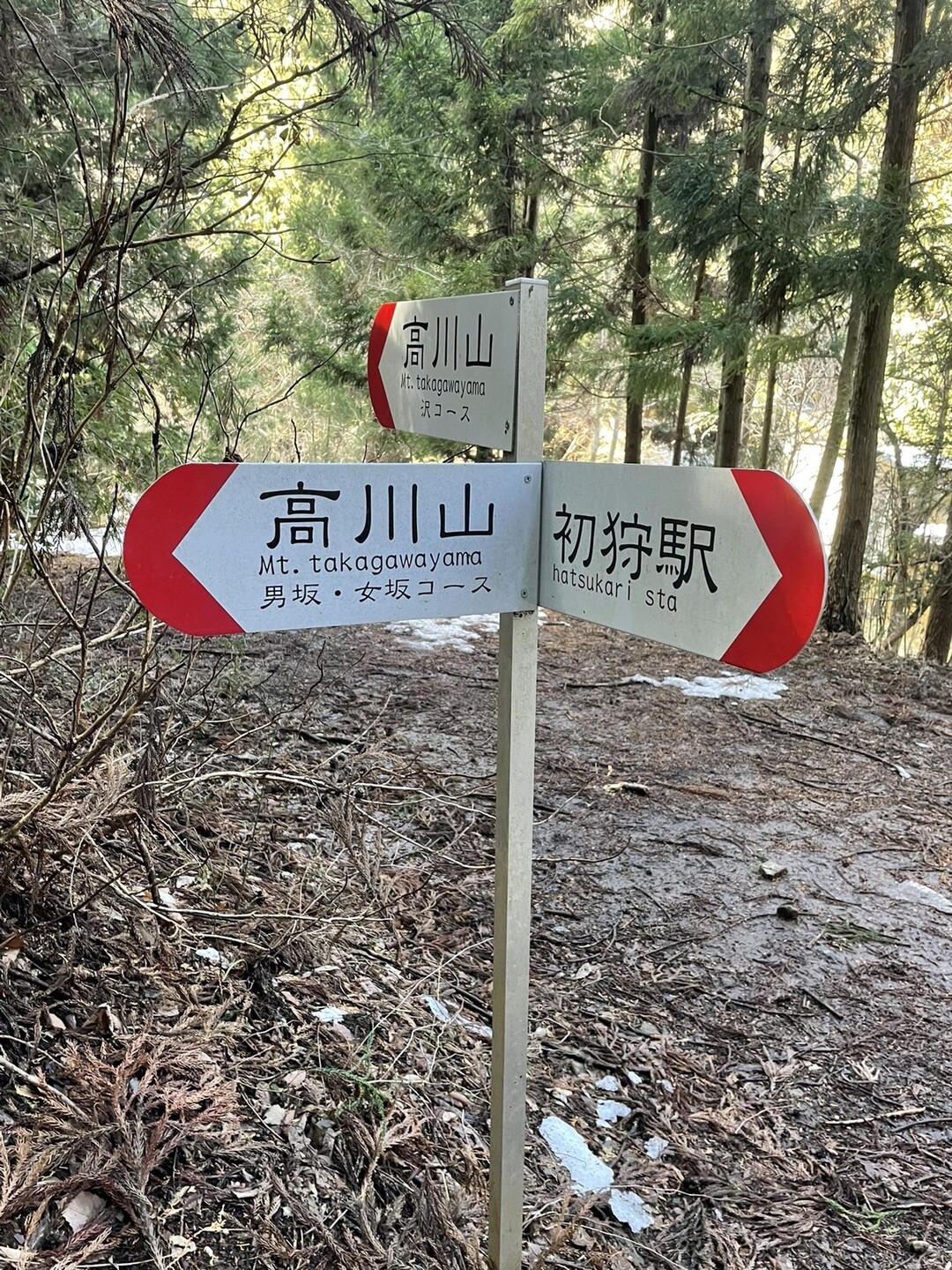 高川山 / かほさんの高川山の活動データ YAMAP / ヤマップ