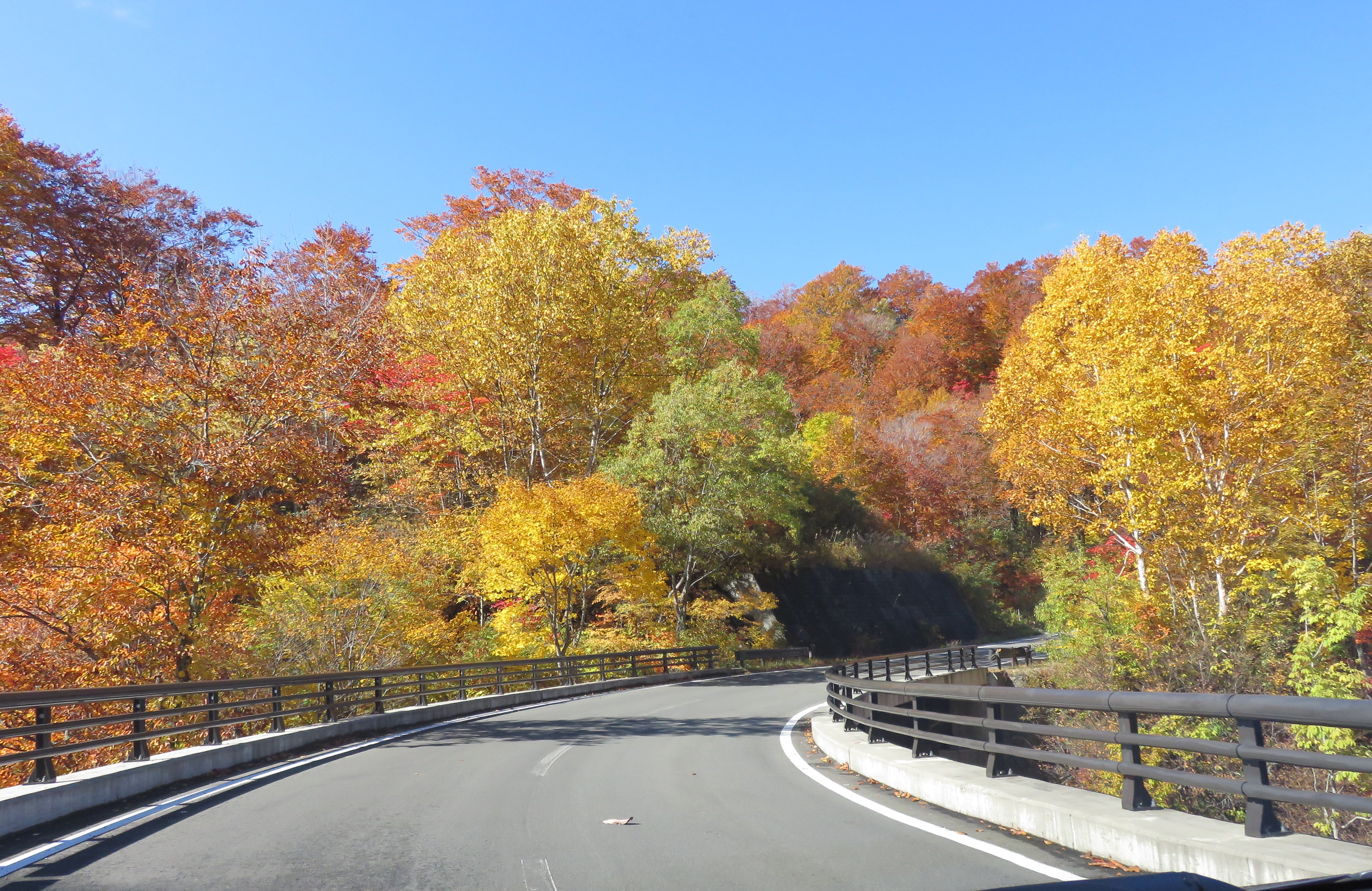 八幡平ー追憶8 16 10 18 チカさんの八幡平 源太森 安比岳の活動日記 Yamap ヤマップ