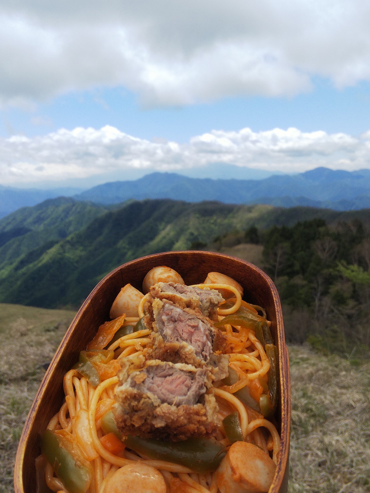 日本一長い山名の山から日本一高い山を見るべしの巻 Yuuki Yさんの雁ヶ腹摺山 岩殿山の活動データ Yamap ヤマップ