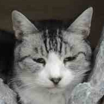 すろばきあラム