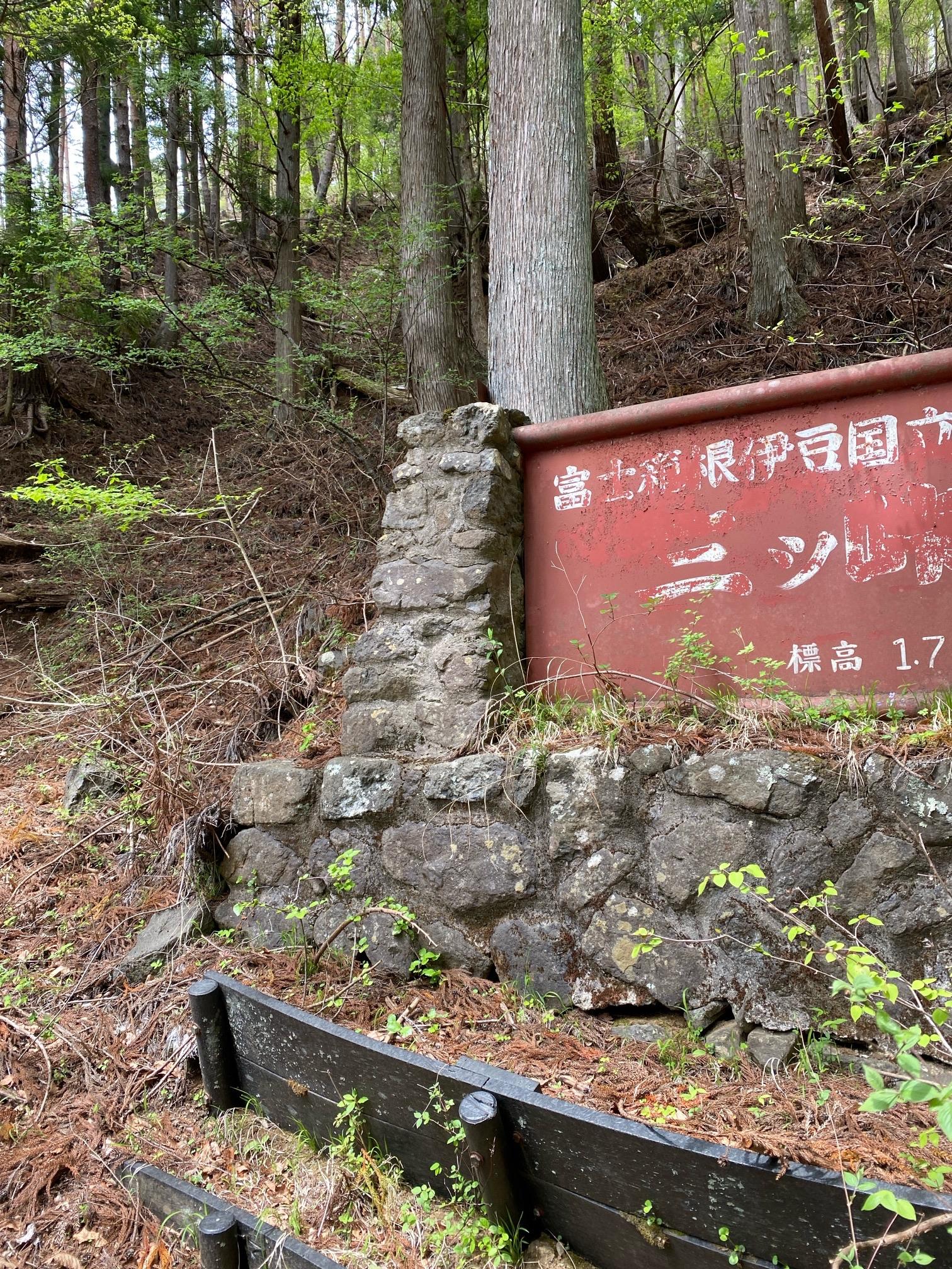 達磨石（三ッ峠山・本社ヶ丸・鶴ヶ鳥屋山 / 山梨） / アクセス・地図
