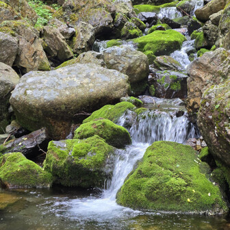 最後は川のせせらぎに目も耳も心も保養され…念願の登山を終える。