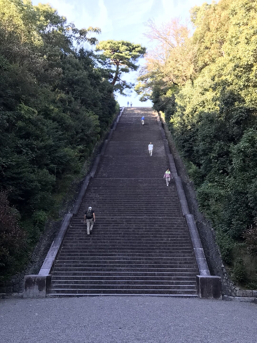 明治天皇陵へ階段ダッシュ 社長aさんの京都市の活動データ Yamap ヤマップ